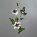 Kvetina umelá Klemátis 3 kvety, biela|purpurová, 76cm|Ego Dekor