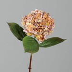 Kwiat sztuczny Hortensja, żółty|pomarańczowy, 52cm|Ego Dekor