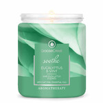 Candle with 1-wick 0.2 KG EUCALPYTUS & MINT, aromatic in a jar with a metal lid|Goose Creek