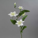 Kvetina umelá Klemátis 3 kvety, krémová, 76cm|Ego Dekor
