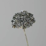 Rastlina/kvetina umelá Kôpor, hnedá zasnežená, 42cm|Ego Dekor