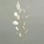 Rastlina/kvetina umelá Lunaria, biela, 86cm|Ego Dekor