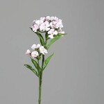Kvetina umelá Hvozdík, biela-ružová, 60cm|Ego Dekor