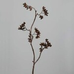 Artificial plant/flower Cotton, brown, 107cm|Ego Dekor
