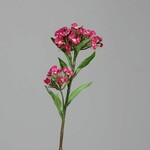 Kvetina umelá Hvozdík, ružová, 60cm|Ego Dekor