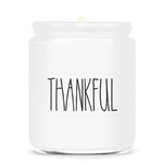 1-wick candle 0.2 KG THANKFUL, aromatic in a tin with a metal lid|Goose Creek