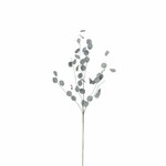 Květina penízek sušená FLOWEE, šedá, pr.10x72cm|Ego Dekor