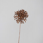 Artificial flower Kalokvět Agapanthus Fruit, spray, 46cm, plastic, black/gold, (package includes 1 pc)|DPI|Ego Dekor