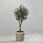 XL Sztuczny kwiat Bonsai Drzewo oliwne w doniczce, 190cm, tekstylne, zielone, (opakowanie zawiera 1 szt.)|DPI|Ego Dekor