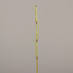 Dekorácia Krídlatka, zelená, 115cm|Ego Dekor
