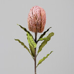 Kvetina Protea, ružová, 65cm|Ego Dekor