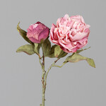 Dekoracja Piwonia, suchy wygląd, różowy, 37cm|Ego Dekor