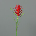 Heliconia, red, 6/36, (SALE)|Ego Dekor