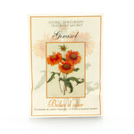 ED Woreczek zapachowy POCKET SMALL, papierowy, 5,5 x 7,5 x 0,3 cm, Girasol|Boles d'olor