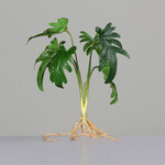 Filodendron-Busch x 6, 38 cm, |Ego Dekor