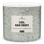 Svíčka MEN'S COLLECTION 0,41 KG COOL RAIN DROPS, aromatická v dóze, 3 knoty|Goose Creek