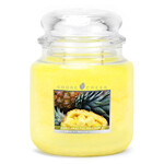 Candle 0.45 KG Exhilarating Pineapple, aromatic in glass (Exhilarating Pineapple)|Goose Creek