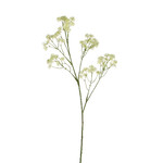 Sztuczny kwiat Aralia kremowy, 182 cm | Ego Dekor