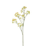 Kwiat sztuczny Aralia żółty, 182 cm | Ego Dekor