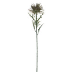 Protea flower, green, 71 cm|Ego Dekor